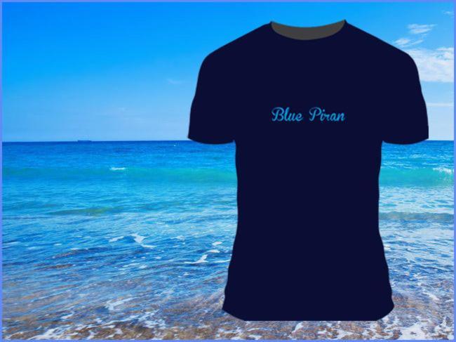 Apartment Blue Piran